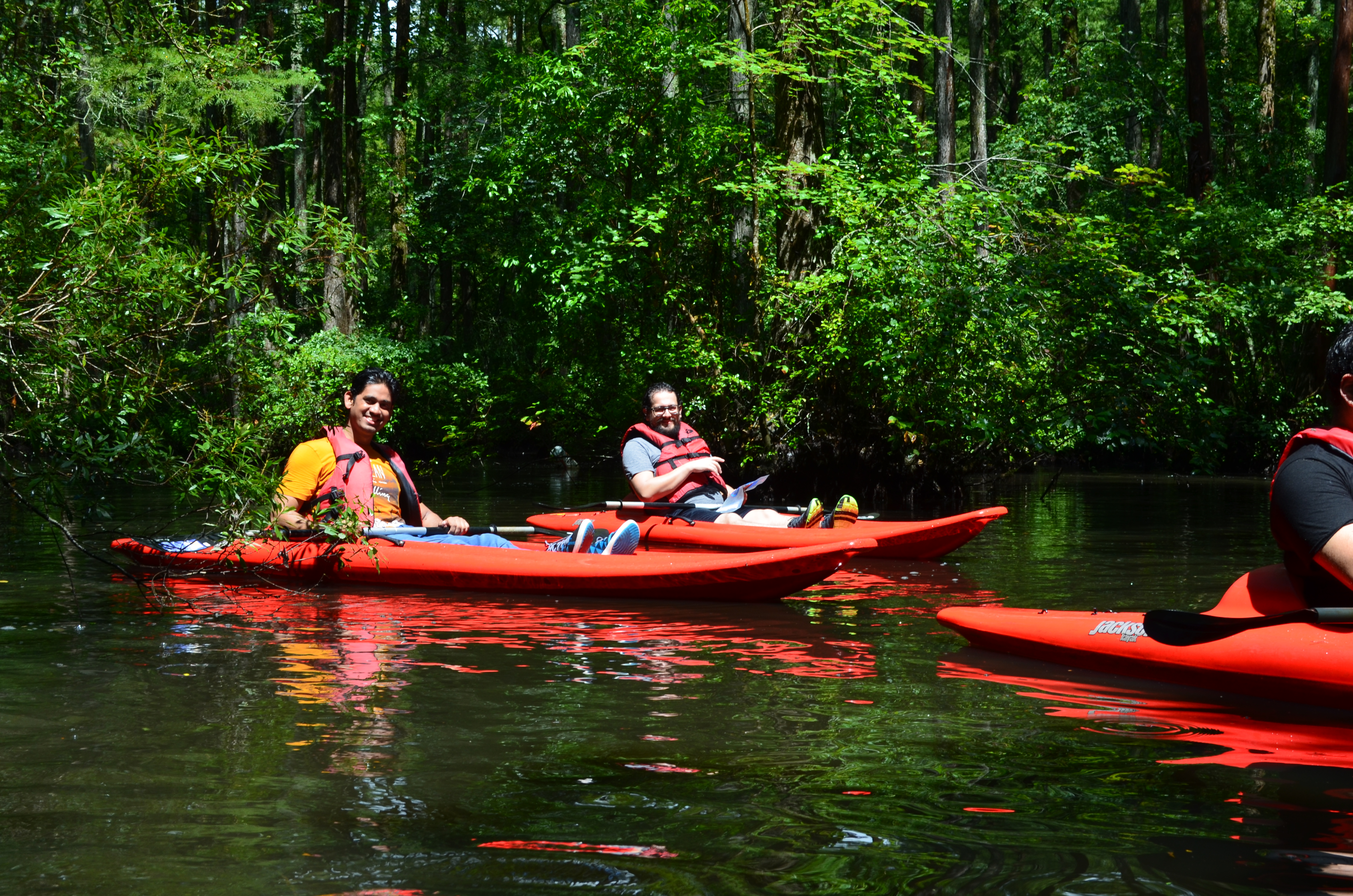 ./2017/13 - Roberson Millpond Preserve/DSC_0600.JPG